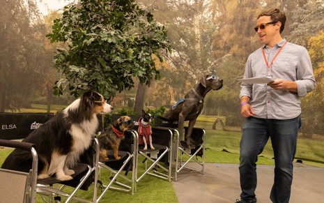 Cachorros estão sentados em cadeiras de atores e olham para o diretor Josh Greenbaum; todos usam óculos escuros